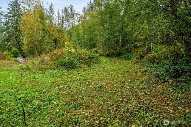 $125,000 | 0 Mineral Hill Road, Mineral, WA 98355