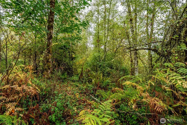 $125,000 | 0 Mineral Hill Road, Mineral, WA 98355