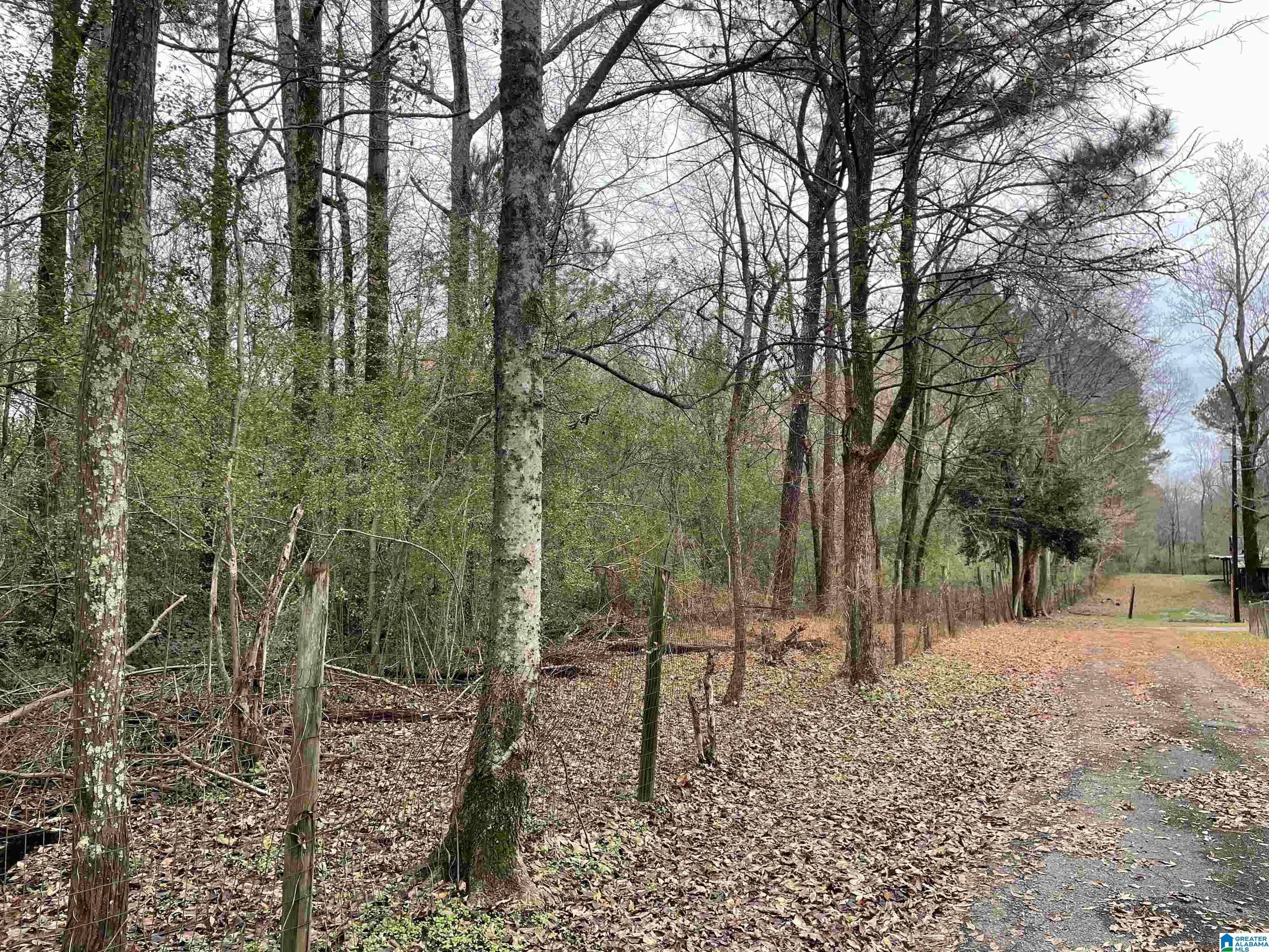Roberta Road, Unit 14 Birmingham, AL 35214 - Photo 2 of 10 Gallery Image 2