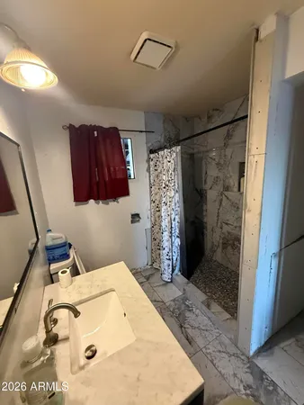 a bathroom with a sink and a shower