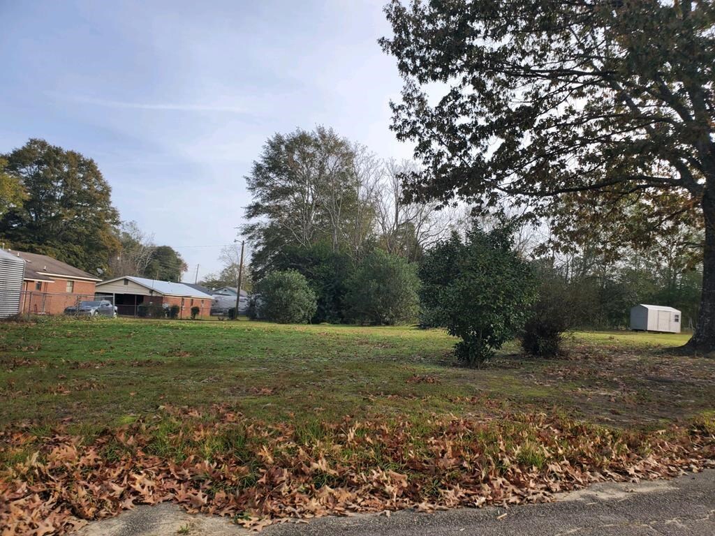 321 Roberts Street Dublin, GA 31021 - Photo 1 of 1 Gallery Image 1