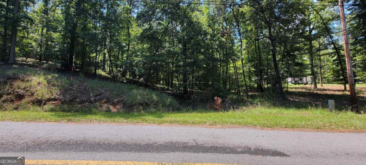726 Marigold Road Sparta, GA 31087 - Photo 1 of 7 a view of a lake view