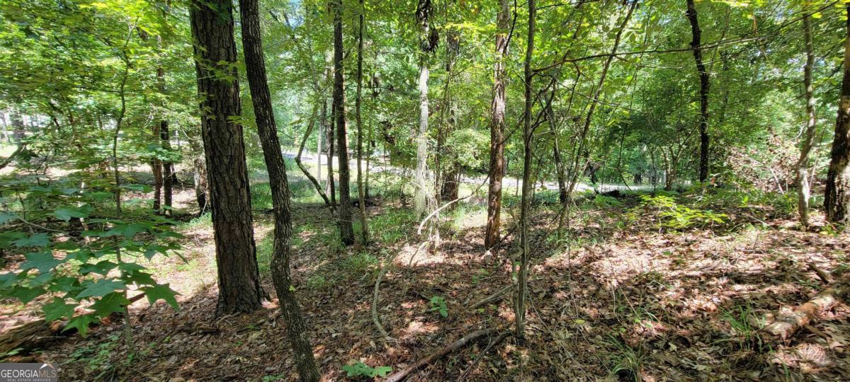 726 Marigold Road Sparta, GA 31087 - Photo 4 of 7 a backyard of a house with lots of green space