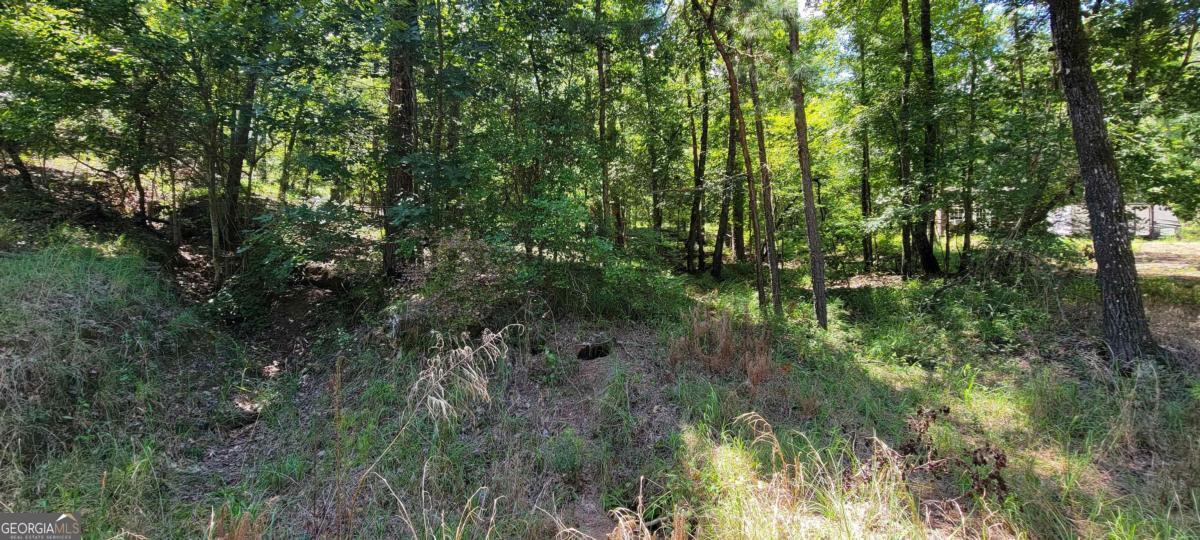 726 Marigold Road Sparta, GA 31087 - Photo 5 of 7 a view of a forest with trees in the background