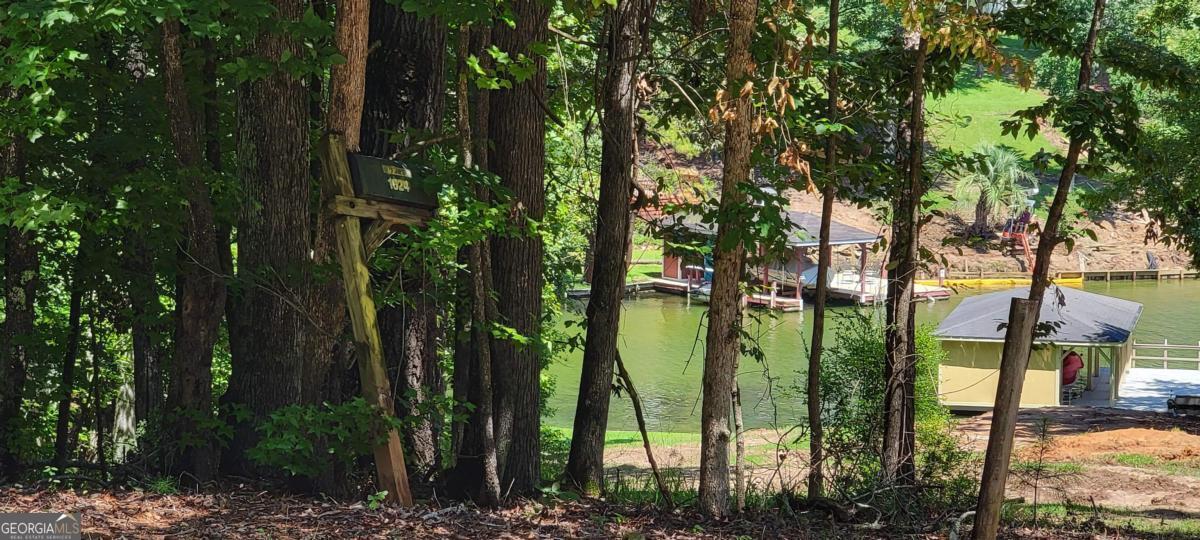 726 Marigold Road Sparta, GA 31087 - Photo 7 of 7 a view of outdoor space and garden