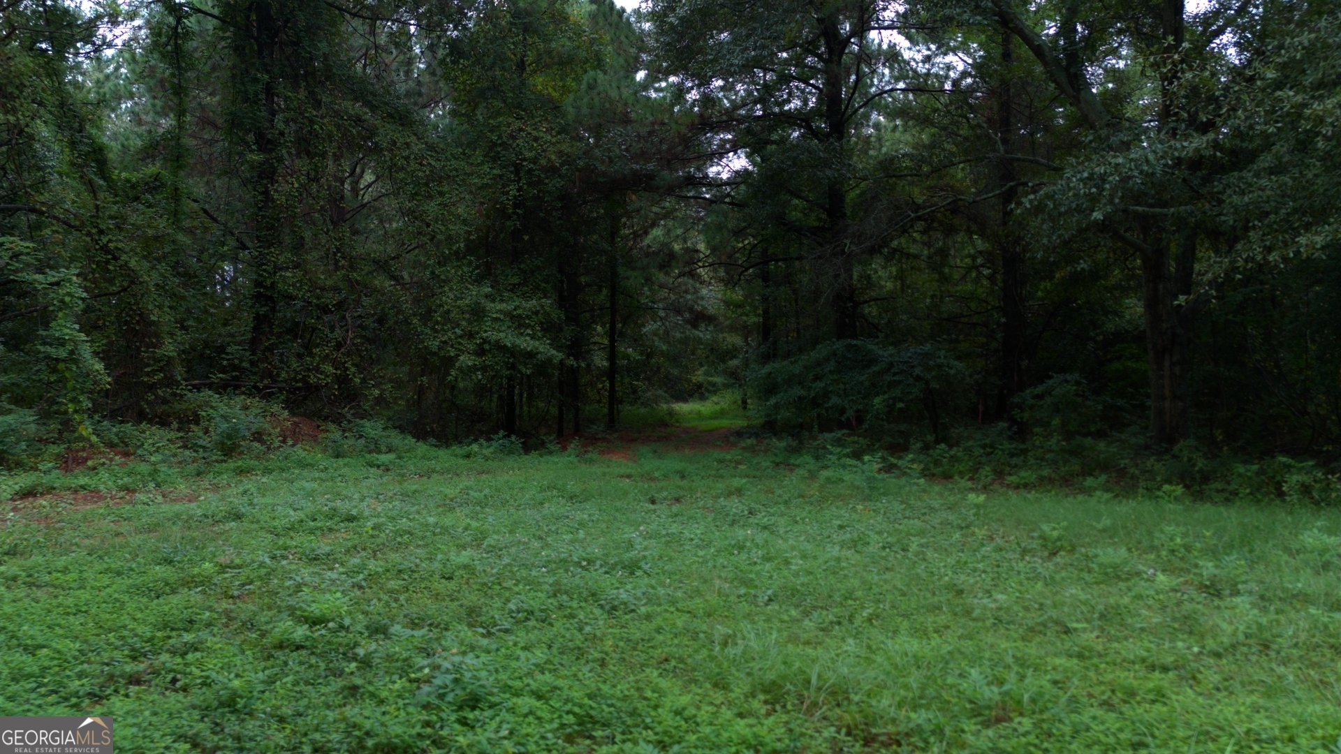 0 Grovania Road Hawkinsville, GA 31036 - Photo 11 of 20 a view of an outdoor space and a yard