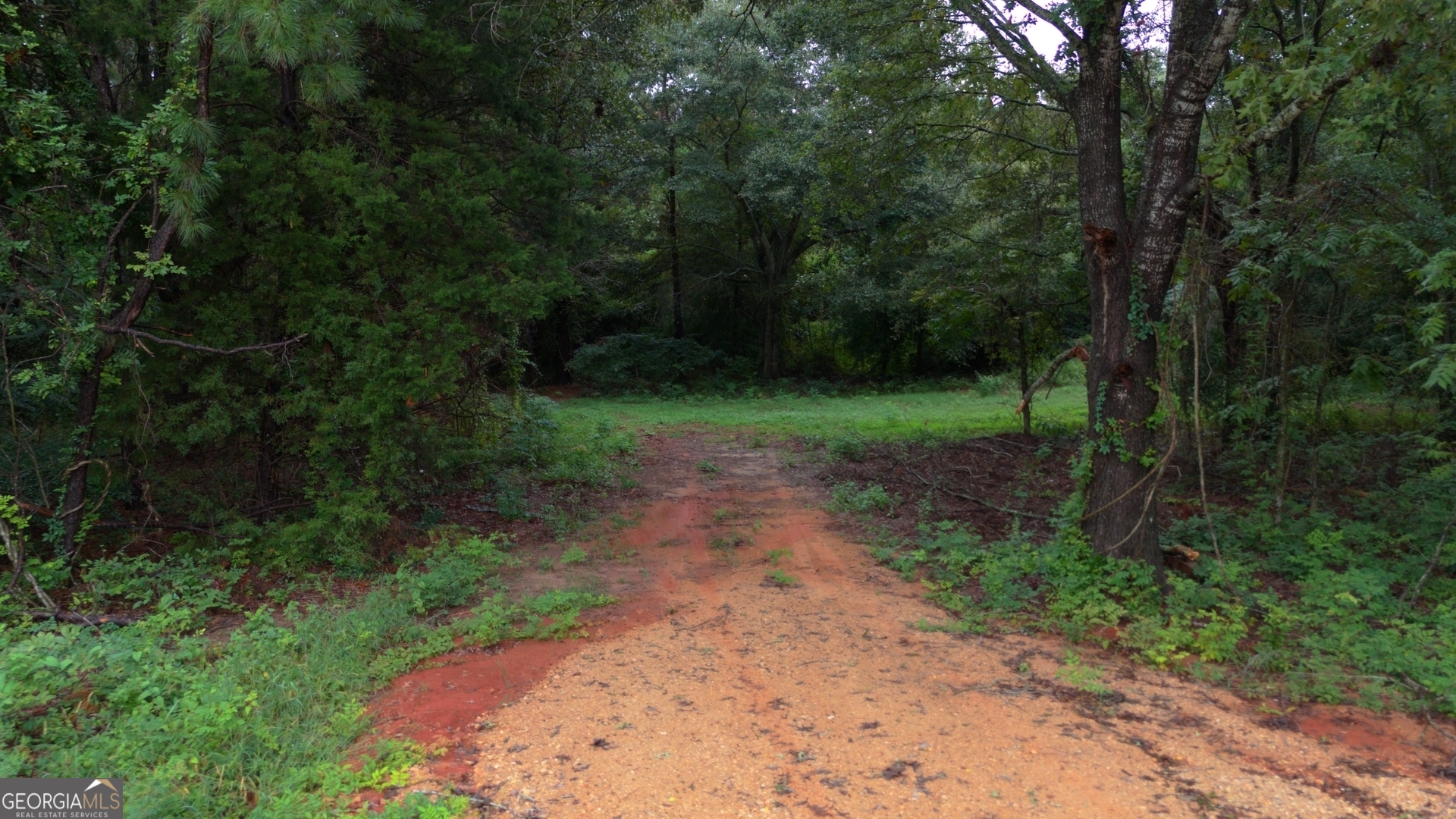 0 Grovania Road Hawkinsville, GA 31036 - Photo 12 of 20 a view of a yard with a trees