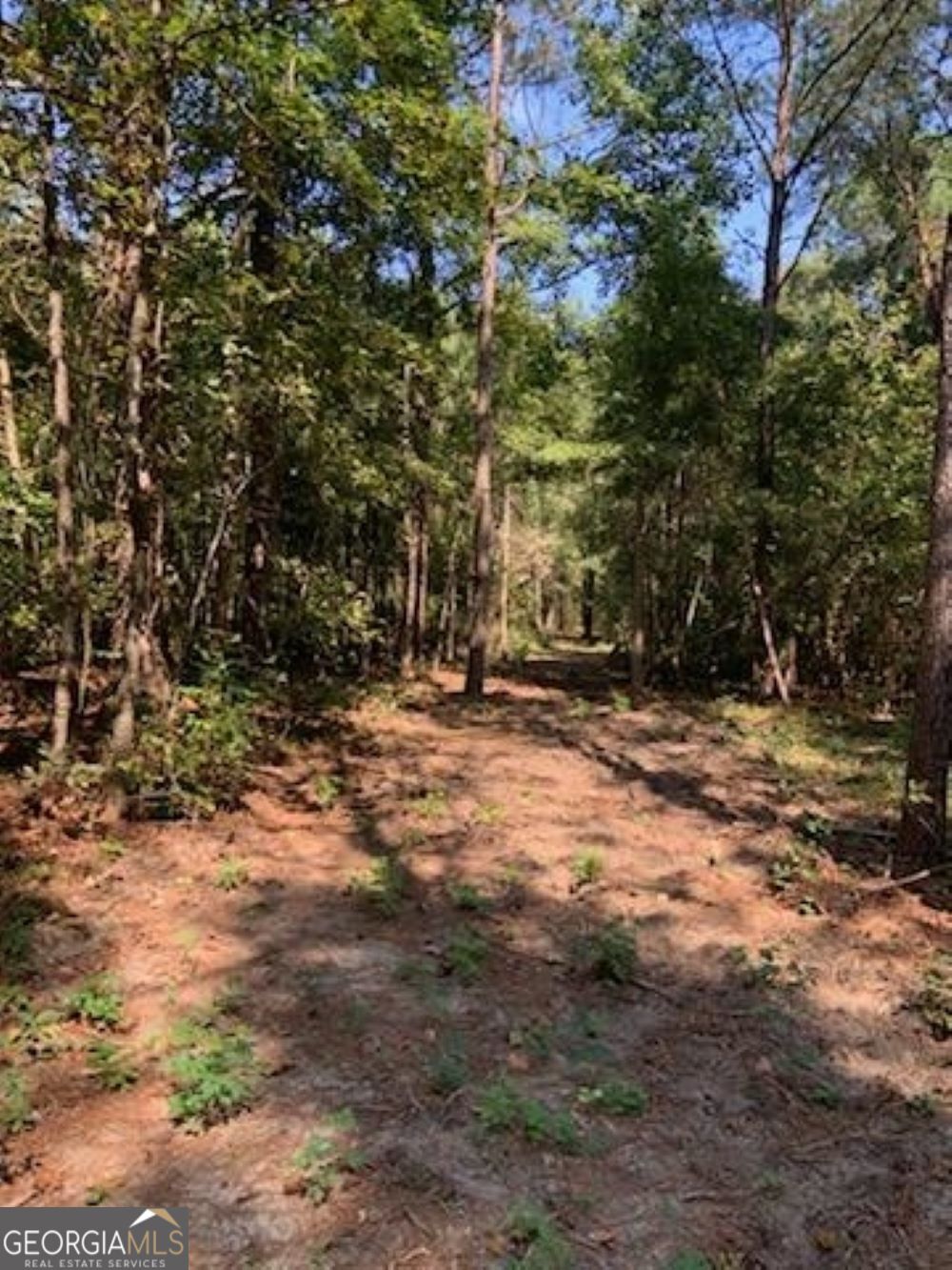 0 Grovania Road Hawkinsville, GA 31036 - Photo 14 of 20 a view of road and trees