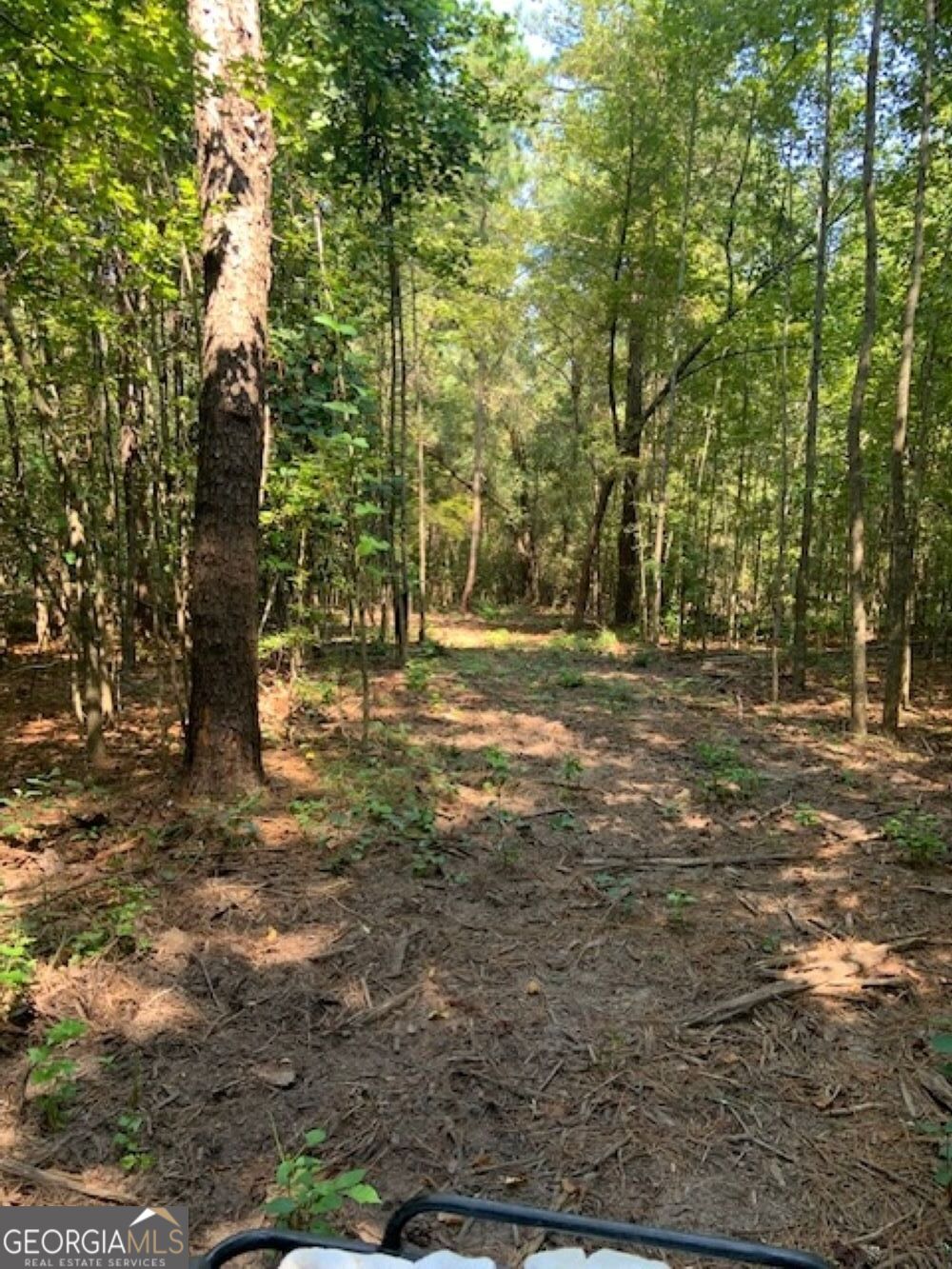 0 Grovania Road Hawkinsville, GA 31036 - Photo 16 of 20 a view of outdoor space with trees all around