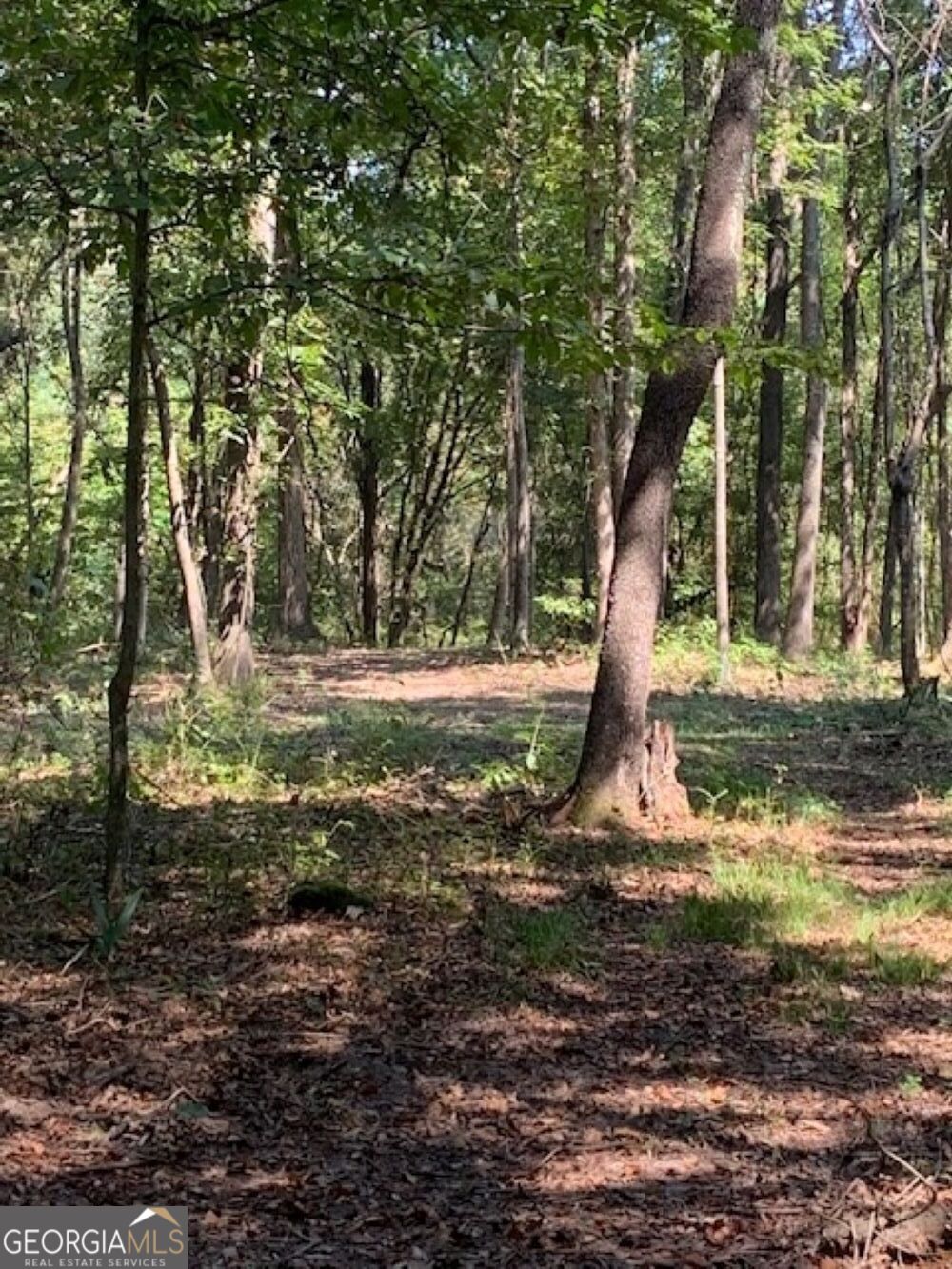 0 Grovania Road Hawkinsville, GA 31036 - Photo 17 of 20 a view of a yard with a tree