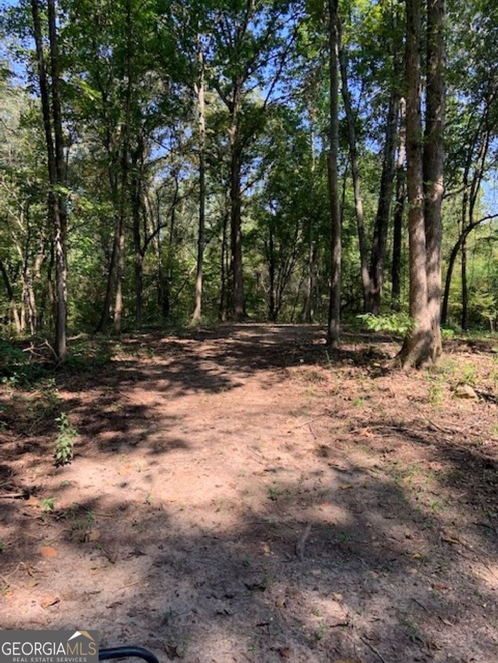 0 Grovania Road Hawkinsville, GA 31036 - Photo 18 of 20 a view of outdoor space with trees