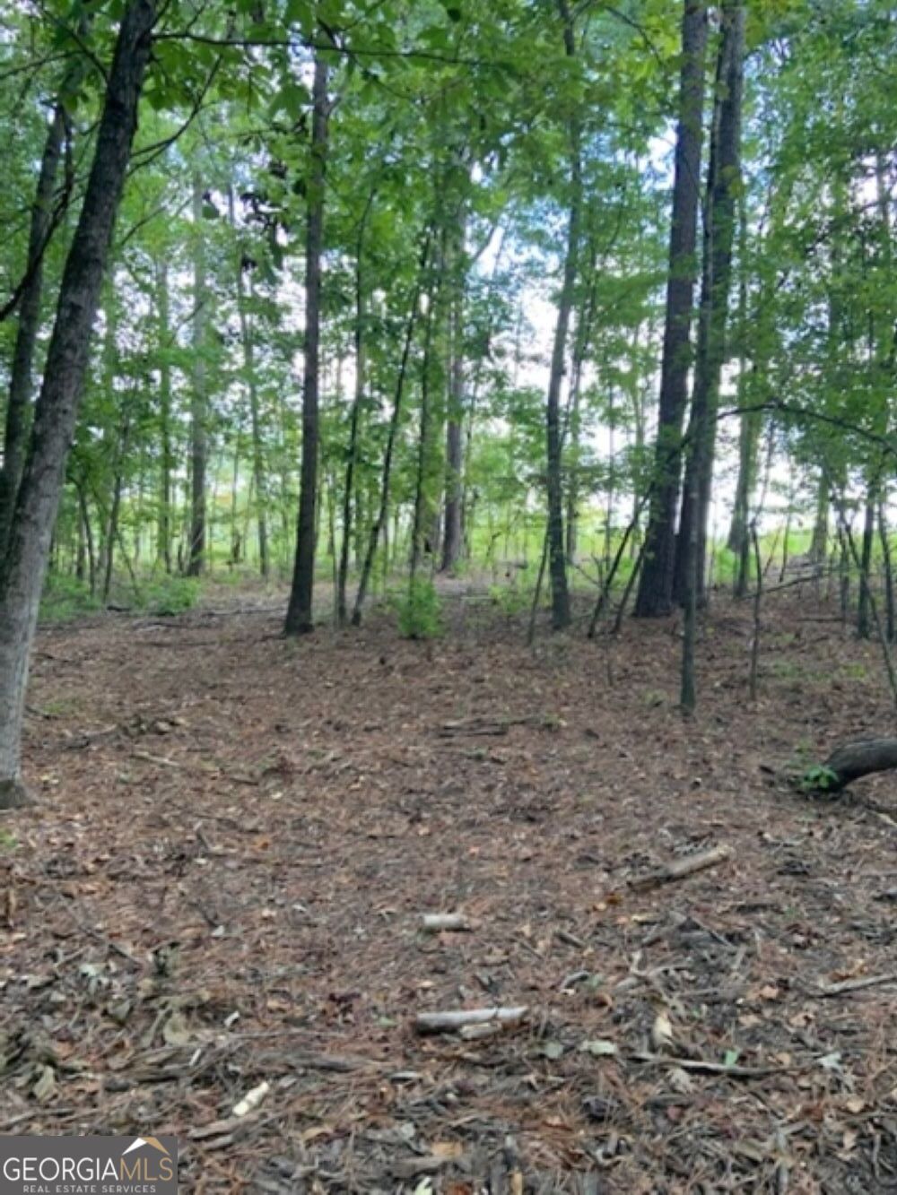 0 Grovania Road Hawkinsville, GA 31036 - Photo 20 of 20 a backyard of a house with lots of green space