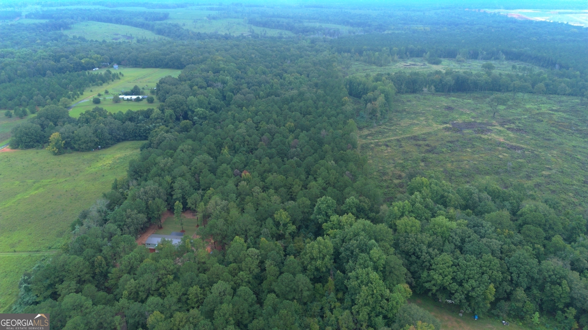 0 Grovania Road Hawkinsville, GA 31036 - Photo 3 of 20 a view of a field of grass and trees