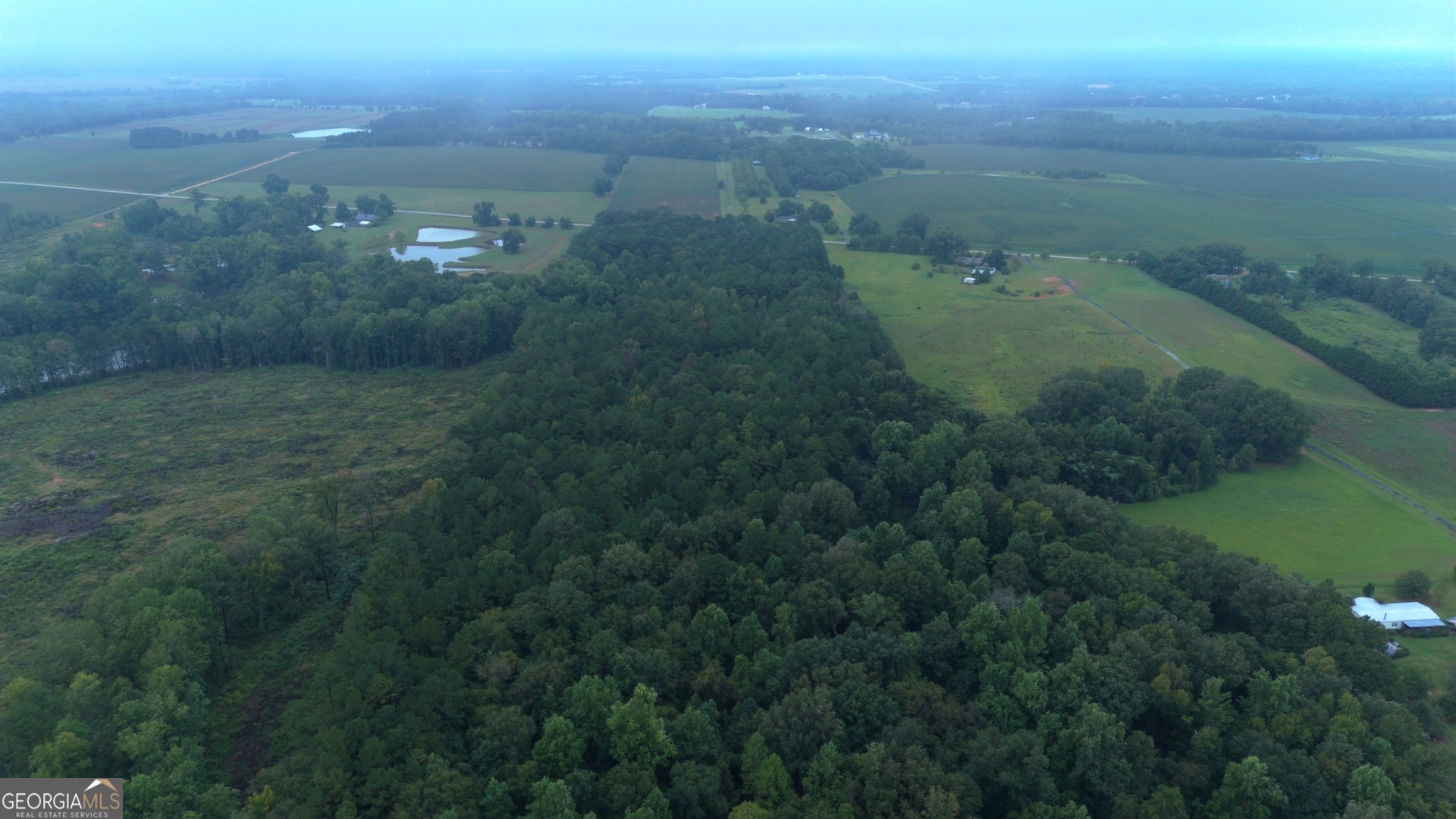 0 Grovania Road Hawkinsville, GA 31036 - Photo 4 of 20 an aerial view of residential houses with outdoor space and trees