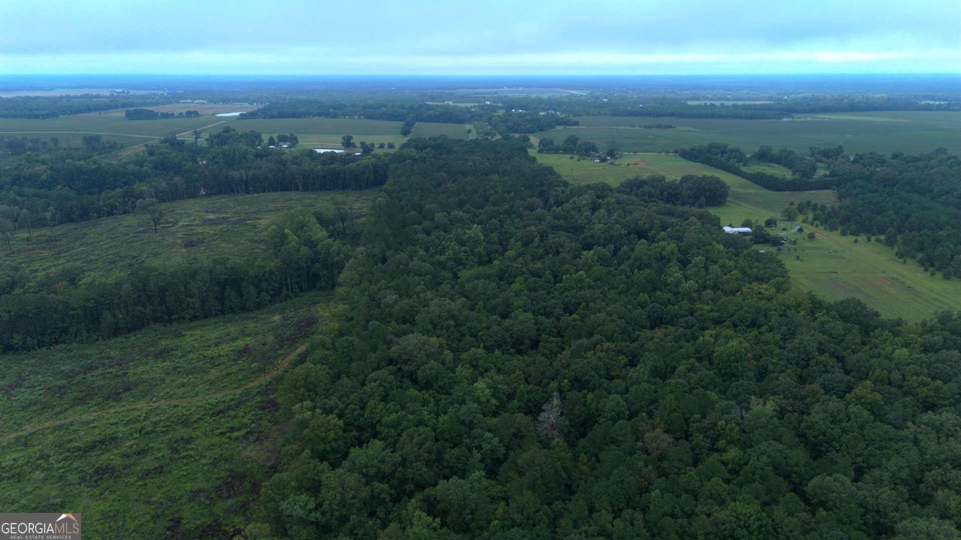 0 Grovania Road Hawkinsville, GA 31036 - Photo 5 of 20 a view of a green field with lots of bushes