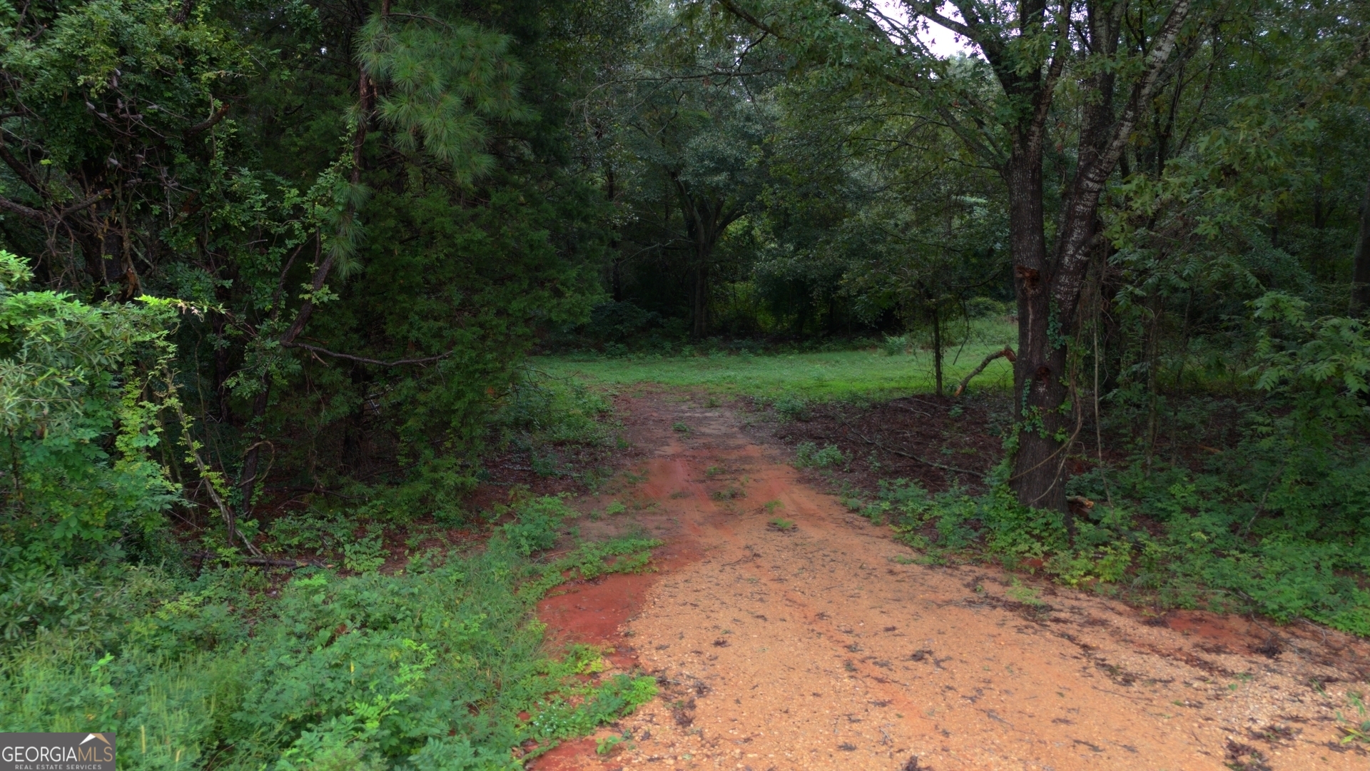 0 Grovania Road Hawkinsville, GA 31036 - Photo 8 of 20 a view of a yard