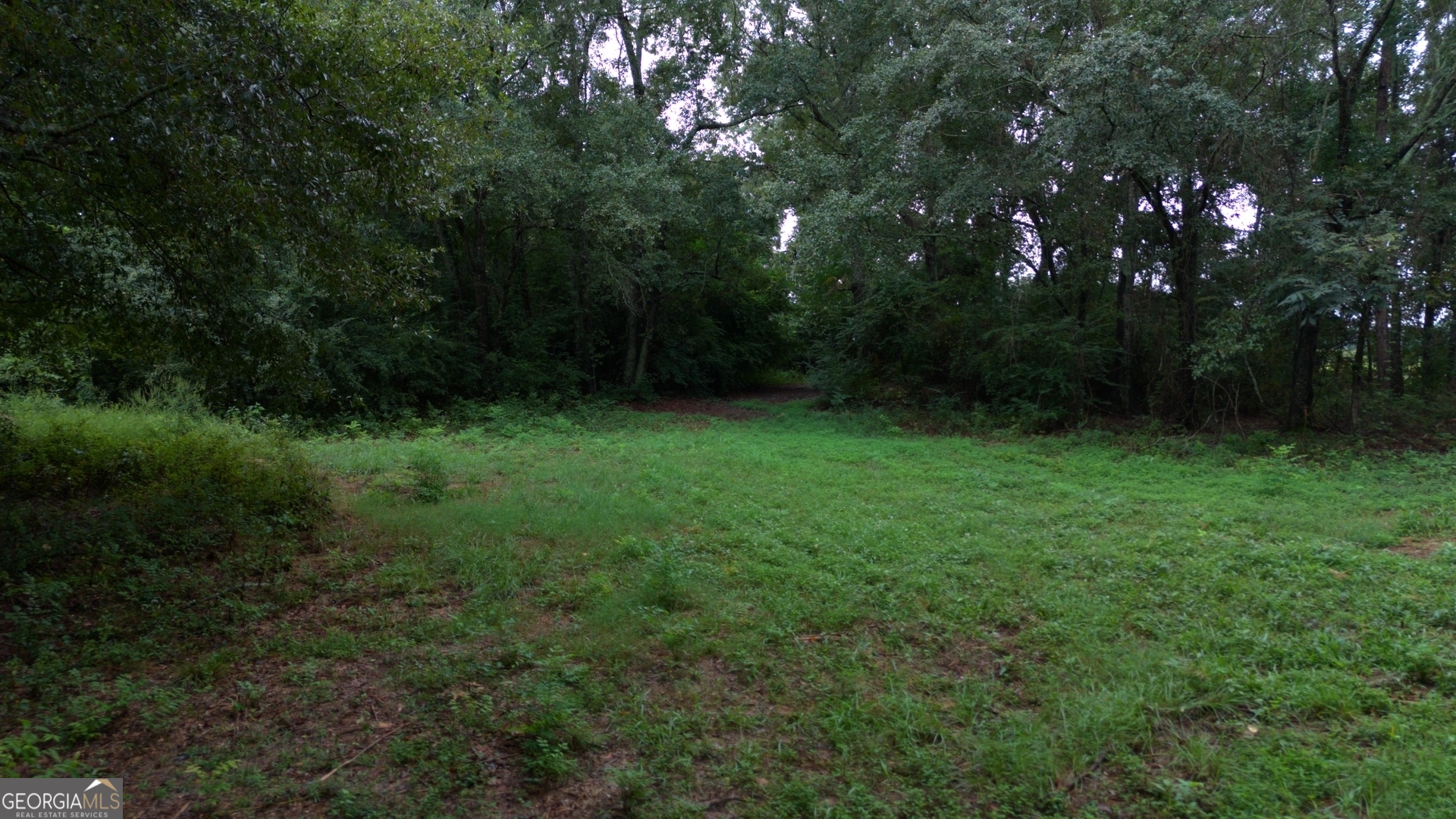 0 Grovania Road Hawkinsville, GA 31036 - Photo 9 of 20 a view of an outdoor space and a yard