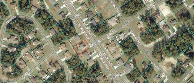 a close up of a plant