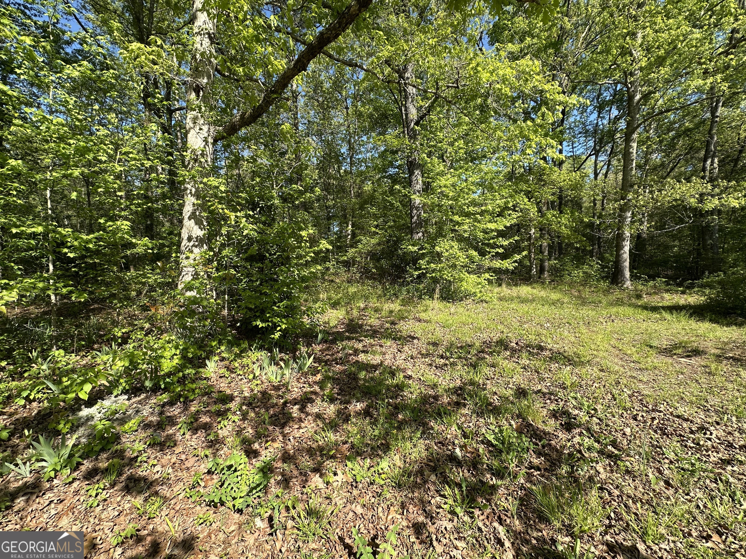 885 Turner Bridge Road The Rock, GA 30285 - Photo 27 of 27