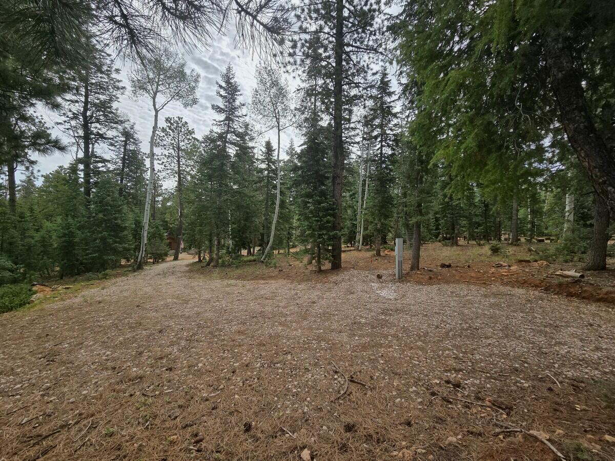 3135 Power Line Road Duck Creek Village, UT 84762 - Photo 2 of 14 RV-Trailer Pad