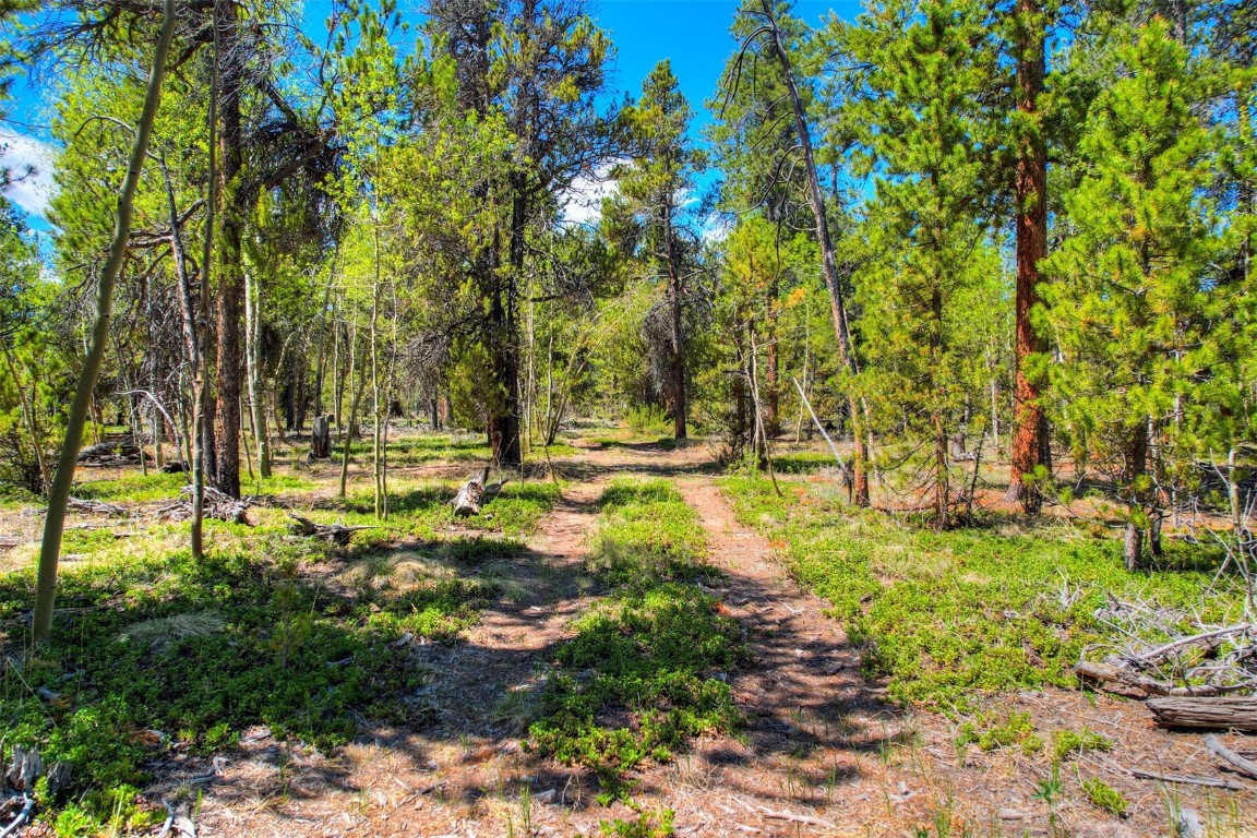 337 Busch Run Fairplay, CO 80440 - Photo 11 of 18 a view of yard with green space