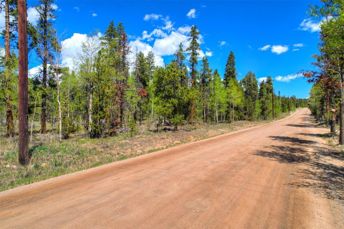 337 Busch Run Fairplay, CO 80440 - Photo 12 of 18 a view of a flower in a yard