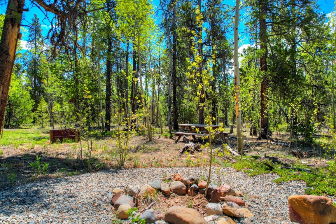 337 Busch Run Fairplay, CO 80440 - Photo 5 of 18 a view of swimming pool with lawn chairs and plants