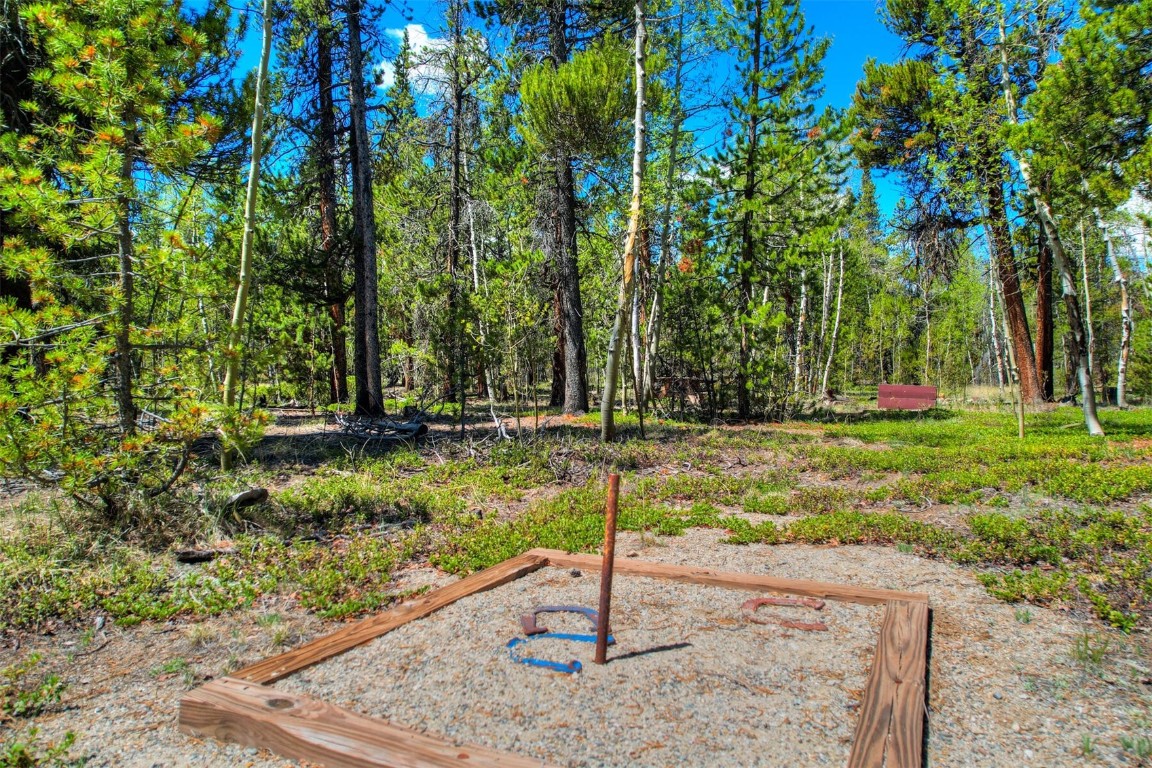337 Busch Run Fairplay, CO 80440 - Photo 6 of 18 a view of a park with large trees