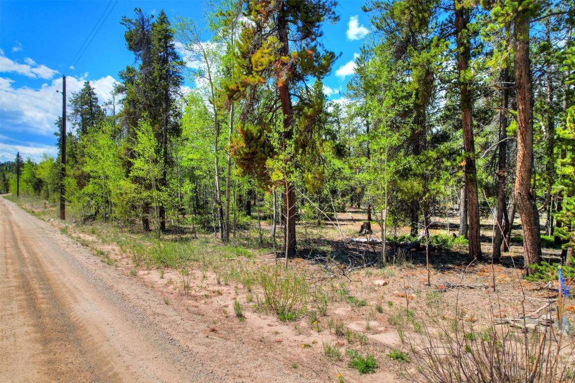337 Busch Run Fairplay, CO 80440 - Photo 9 of 18 a backyard of a house with lots of green space