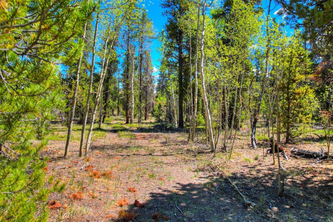 337 Busch Run Fairplay, CO 80440 - Photo 10 of 18 a view of yard