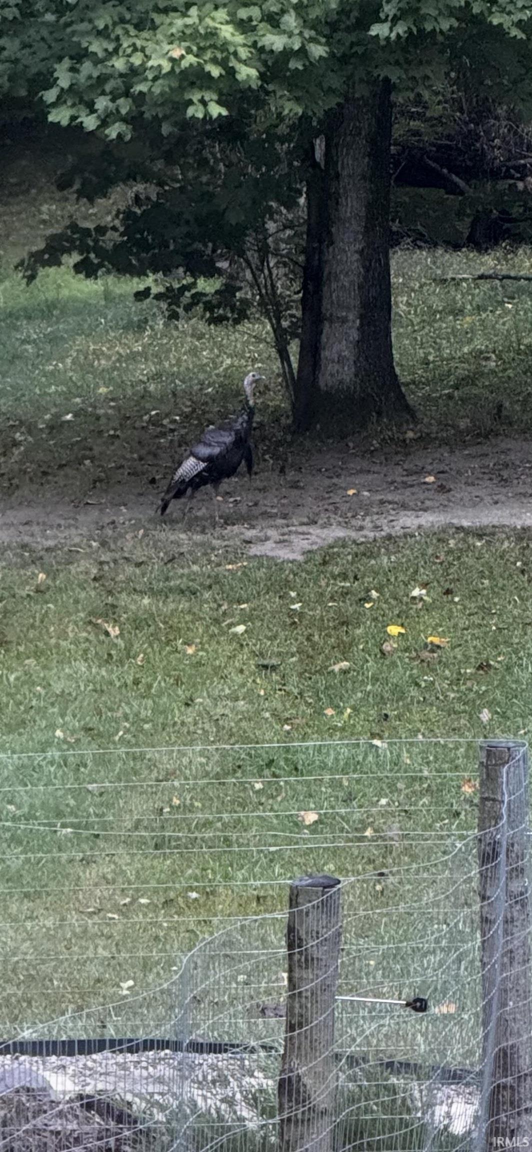 6300 Logansport Road Logansport, IN 46947 - Photo 22 of 33