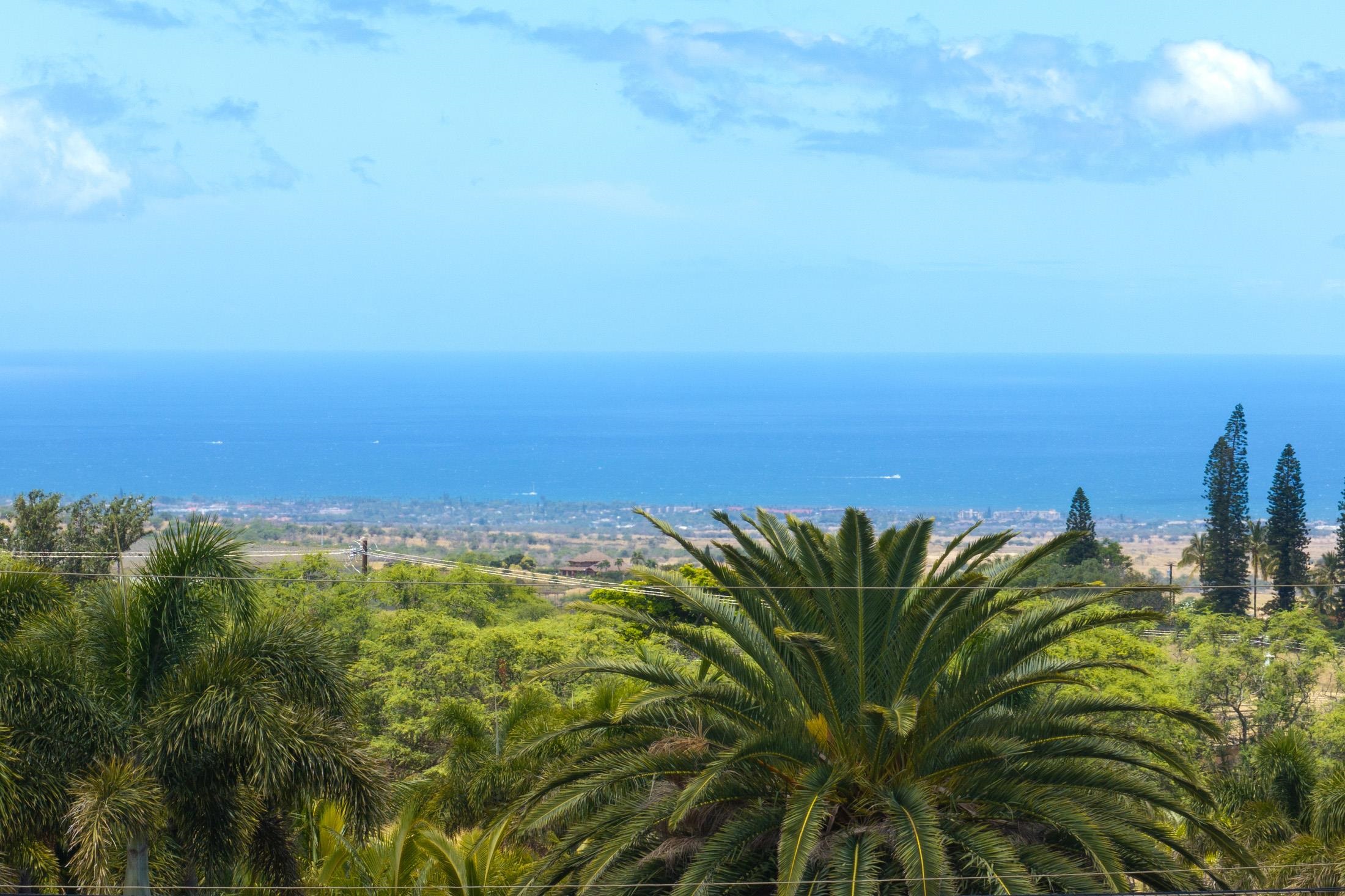 Omaopio Road Kula, HI 96790 - Photo 16 of 31 Gallery Image 16