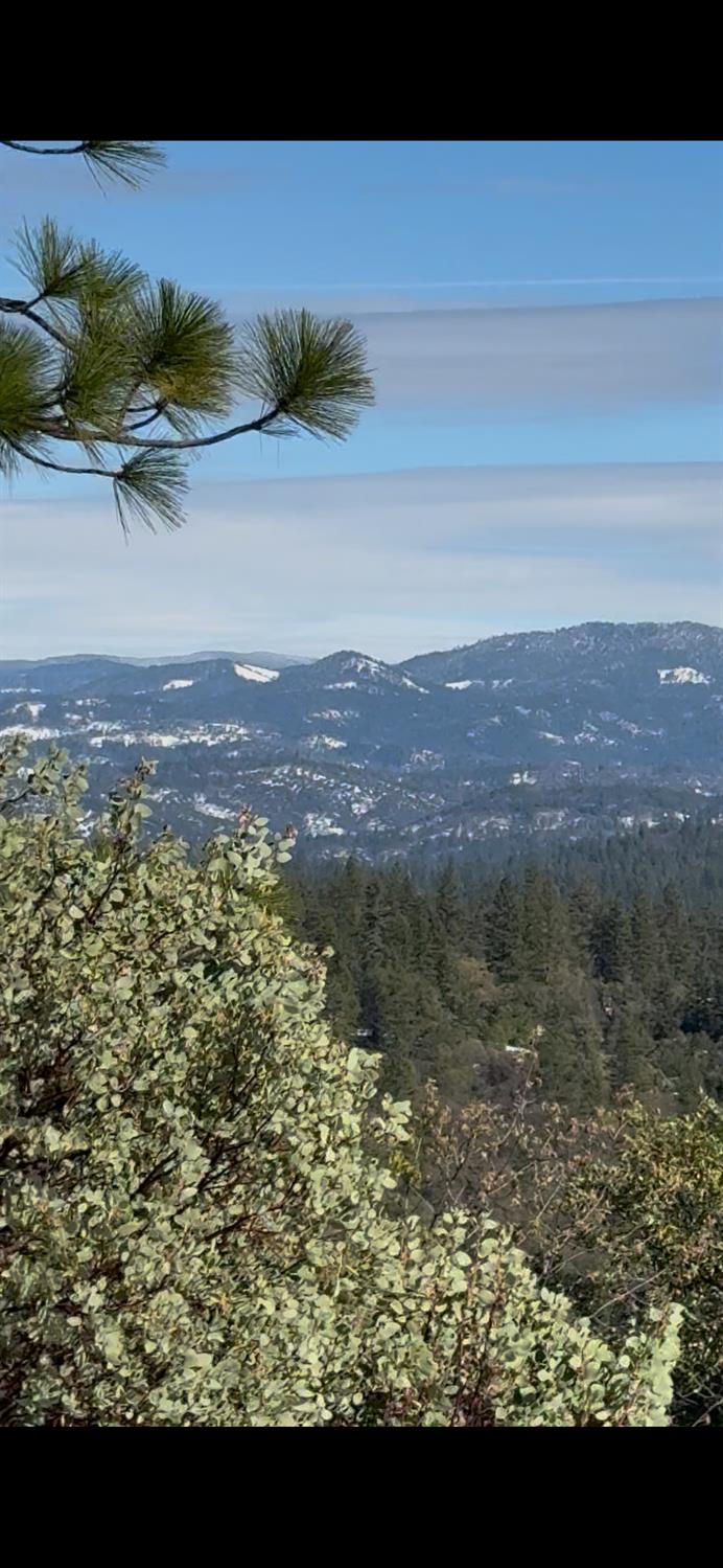 15238 State Rte 26 Glencoe, CA 95232 - Photo 13 of 24 a view of a lake from a yard