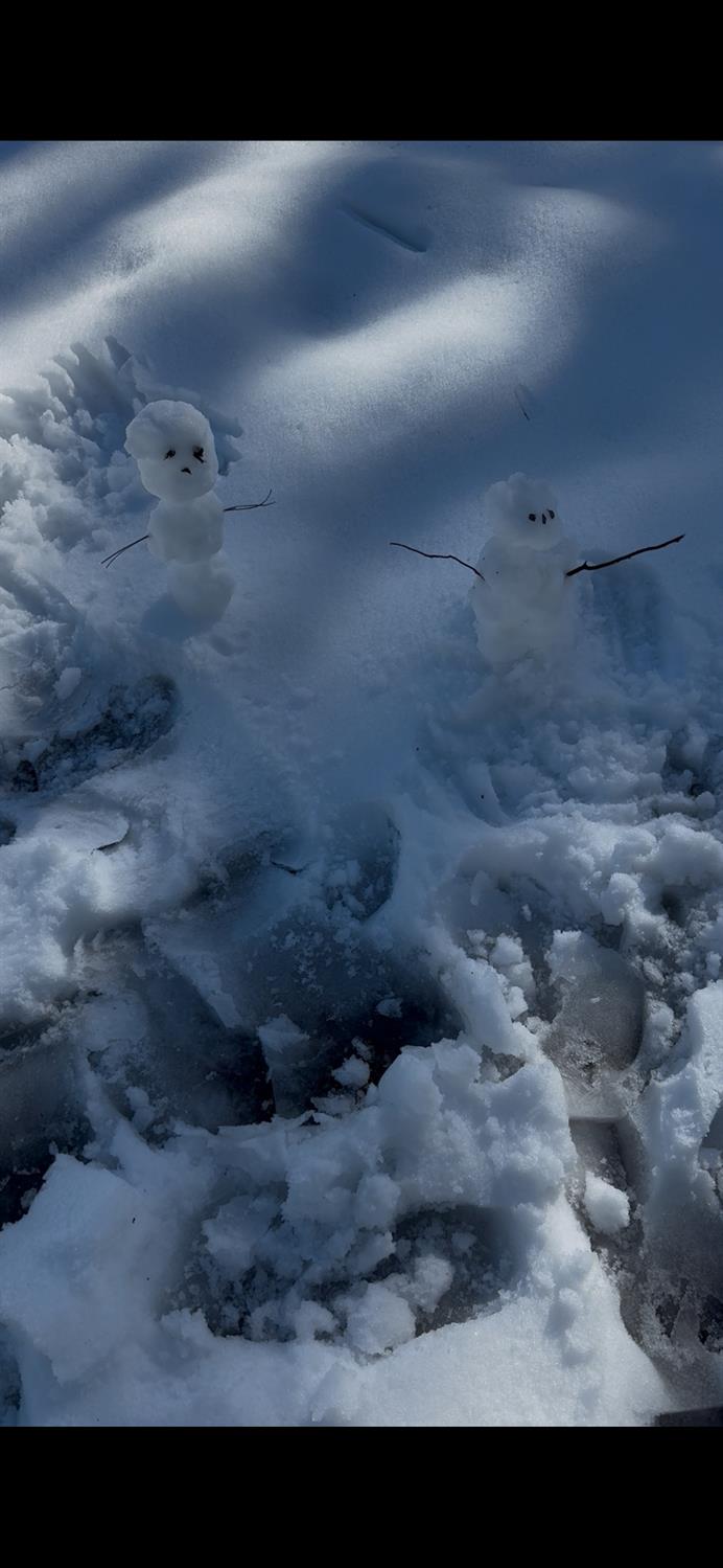 15238 State Rte 26 Glencoe, CA 95232 - Photo 14 of 24 a view of electric room