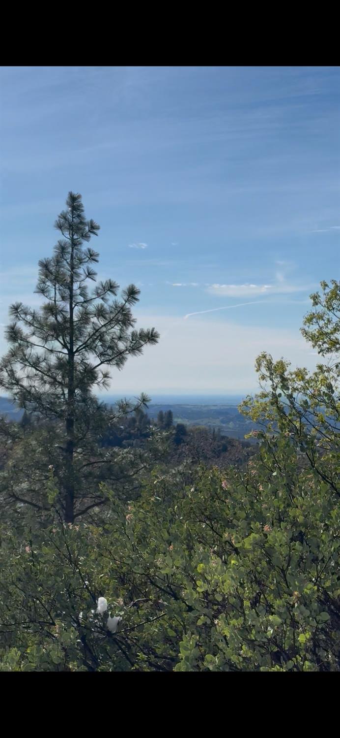 15238 State Rte 26 Glencoe, CA 95232 - Photo 15 of 24 a view of a lake