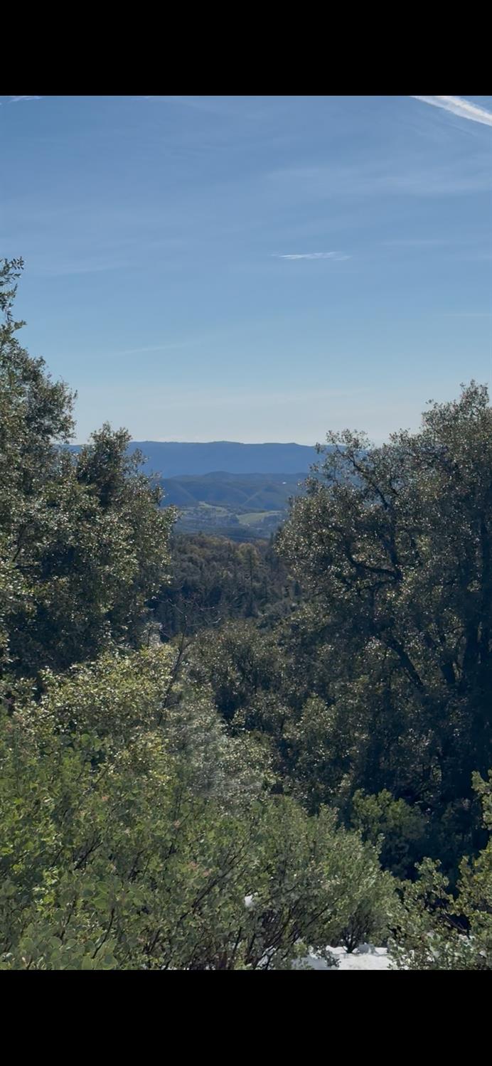 15238 State Rte 26 Glencoe, CA 95232 - Photo 16 of 24 a view of a field