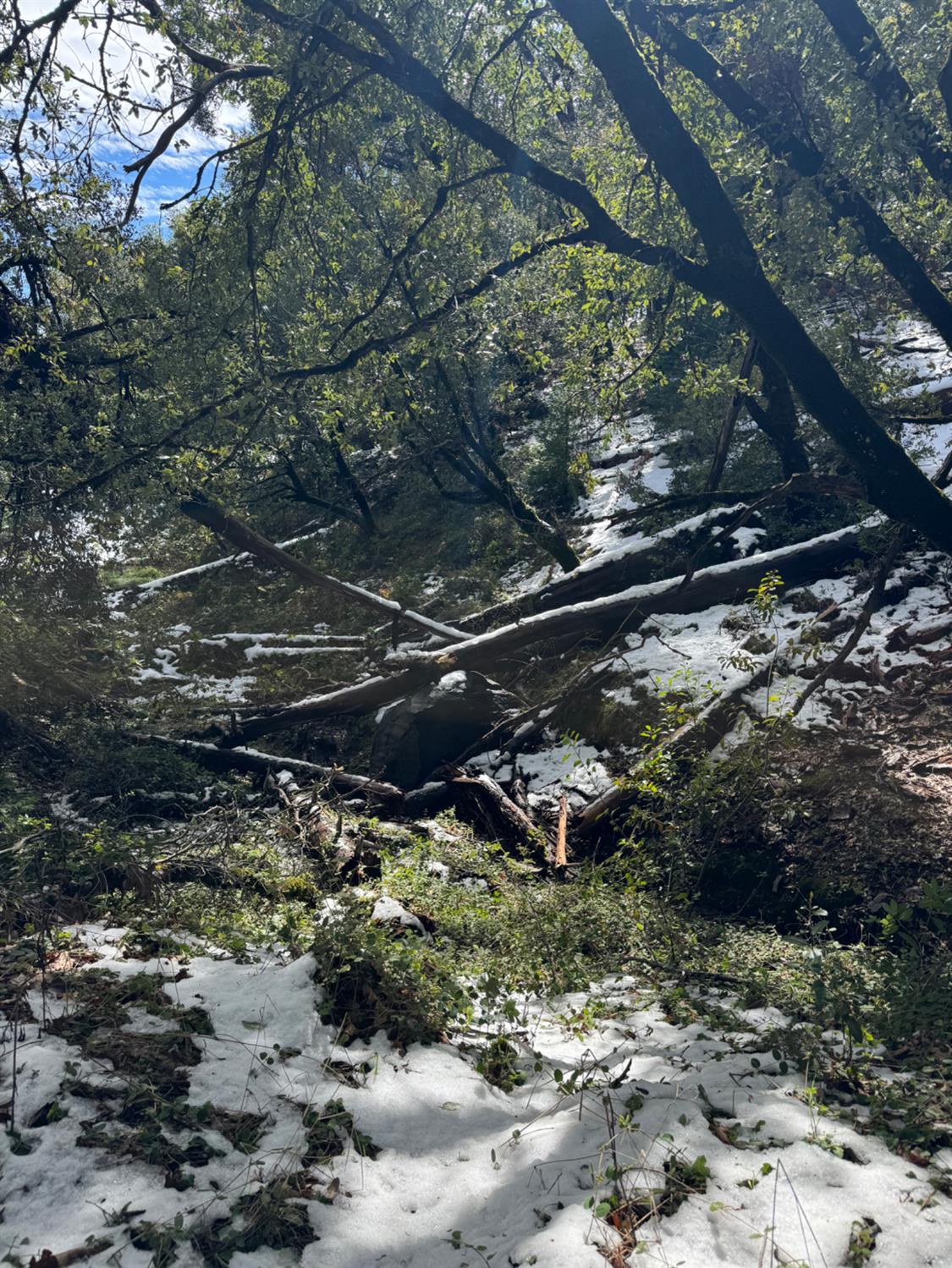 15238 State Rte 26 Glencoe, CA 95232 - Photo 23 of 24 a view of an outdoor space