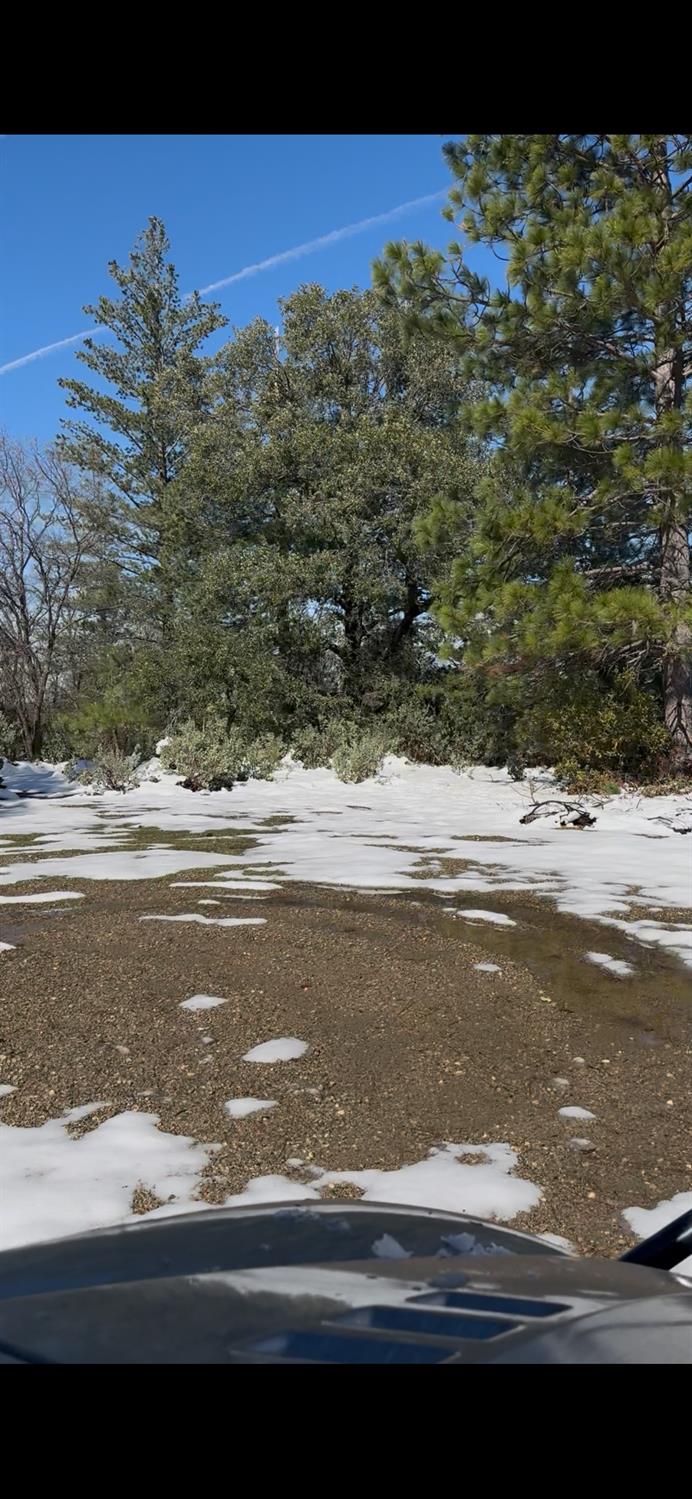 15238 State Rte 26 Glencoe, CA 95232 - Photo 10 of 24 a view of ocean view