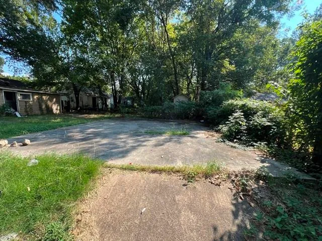 a view of a yard with plants and trees