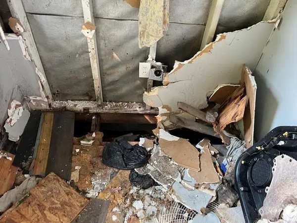 a view of a yard with plants and trees