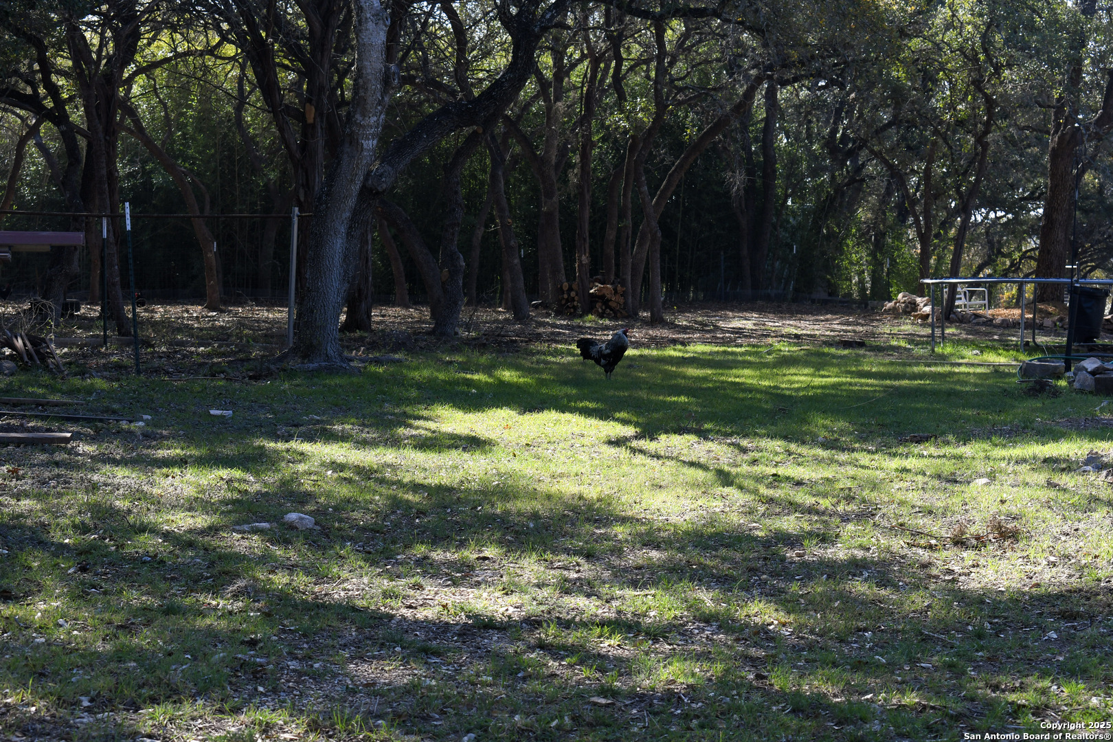 805 Bulverde Road Bulverde, TX 78163 - Photo 6 of 9