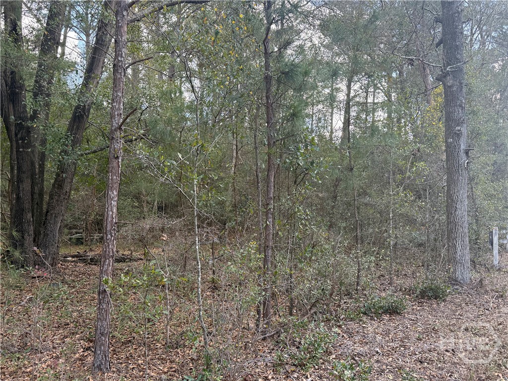 2362 Old Dixie Highway South Springfield, GA 31329 - Photo 7 of 9