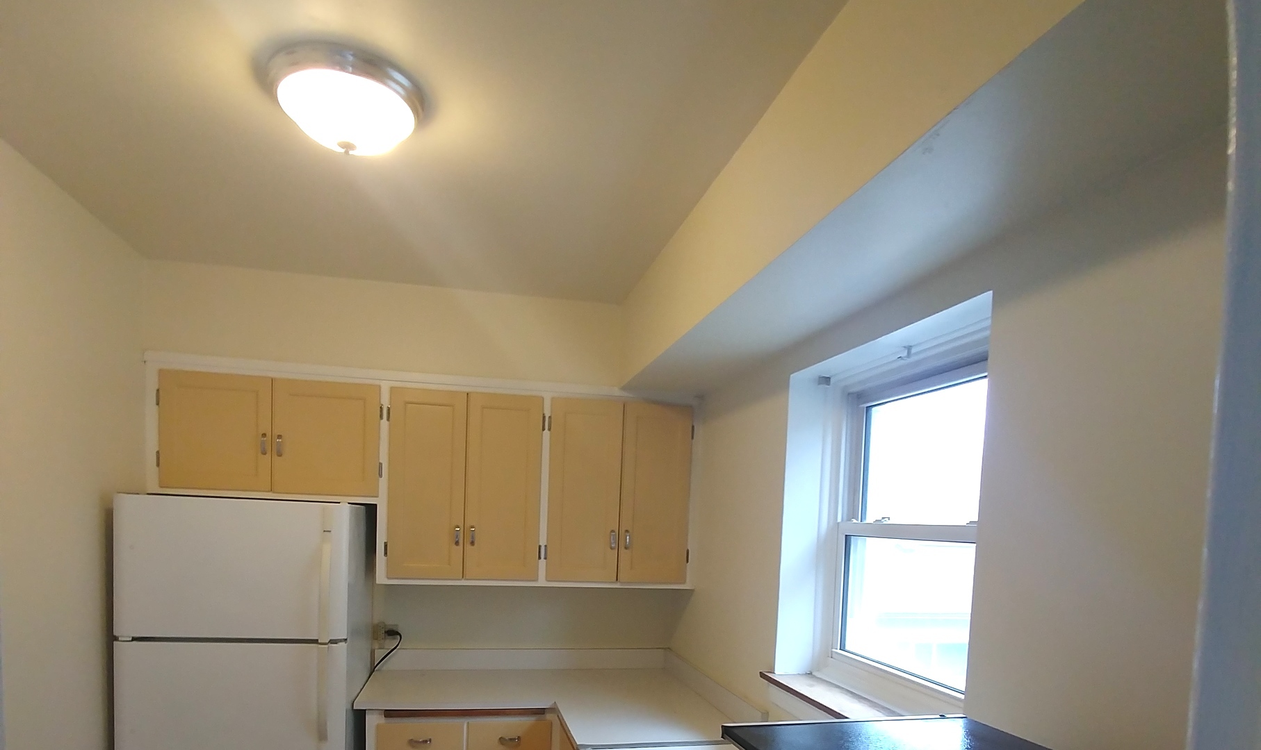 100 Pine Avenue, Unit 2 Riverside, IL 60546 - Photo 5 of 12 a view of a kitchen with a fridge