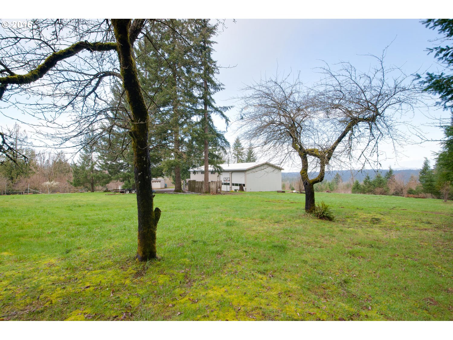 19966 South Moore Road Oregon City, OR 97045 - Photo 29 of 32 a view of a garden with a tree