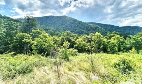 $35,000 | 0 Split Pine Cove, Clyde, NC 28721