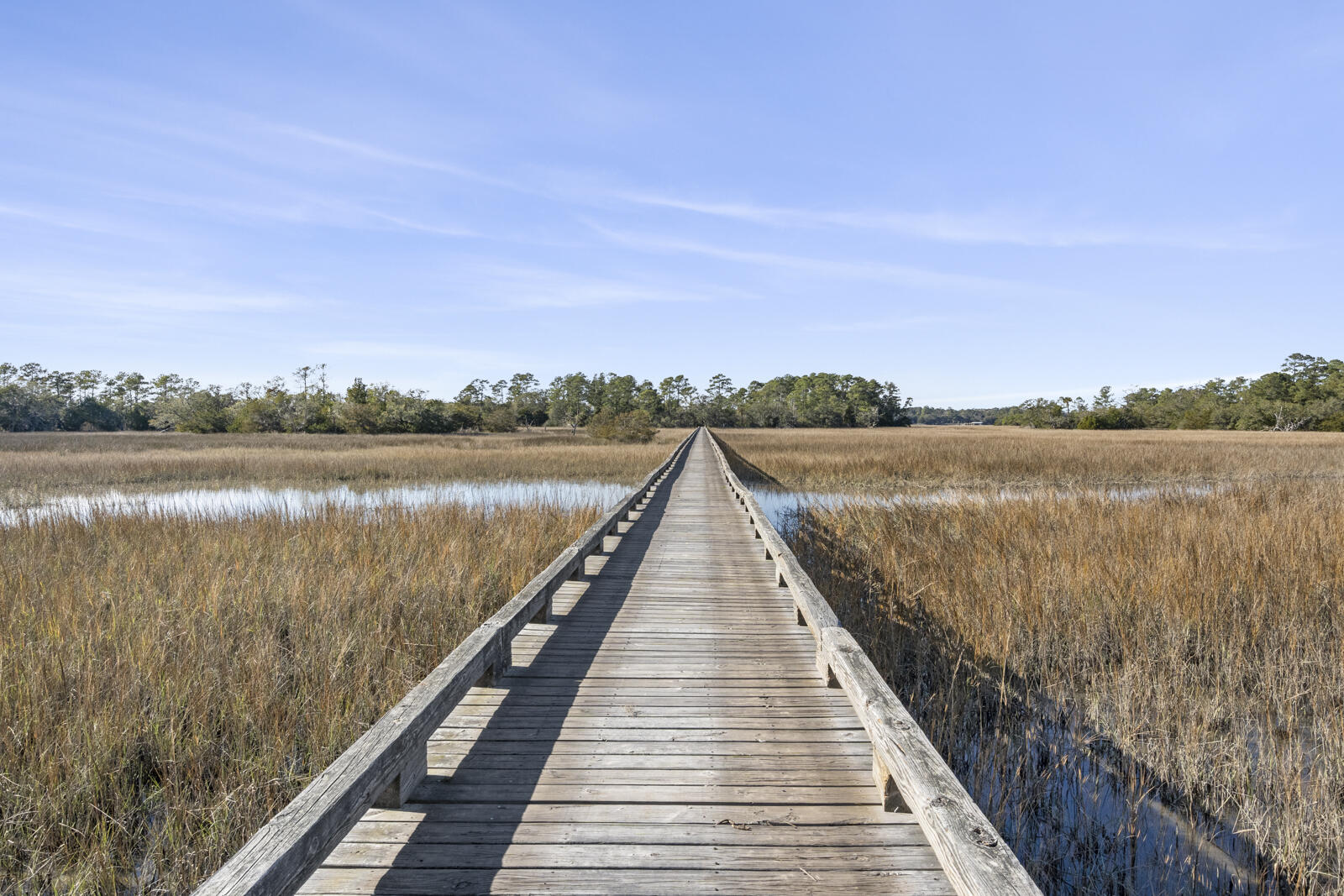 3310 Hopkinson Plantation Road Johns Island, SC 29455 - Photo 67 of 83 DEK01153