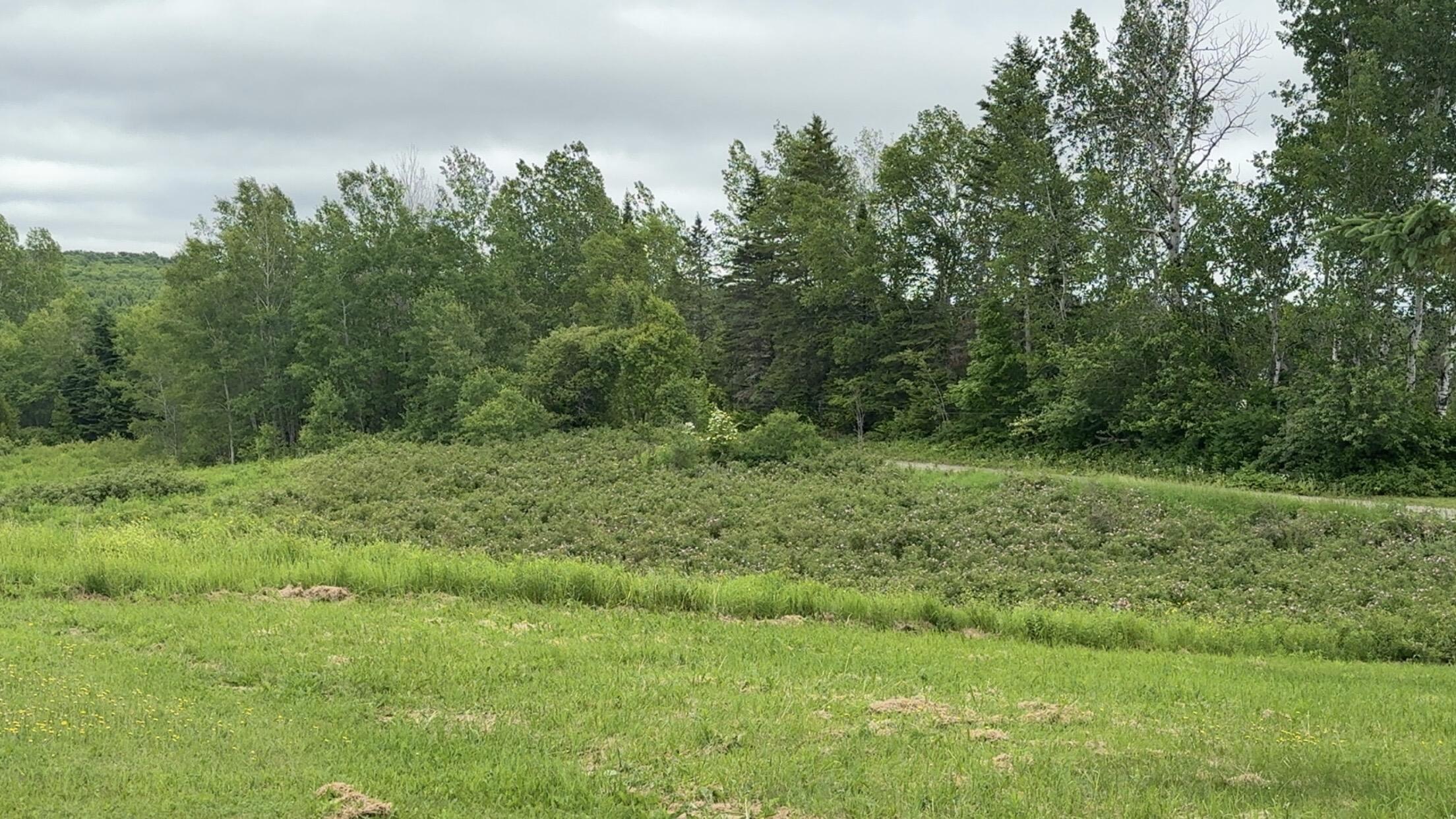 496 Britton Road Monticello, ME 04760 - Photo 25 of 40 IMG_1498