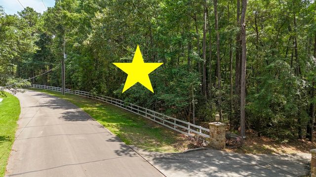 a view of a bench in a park with large trees