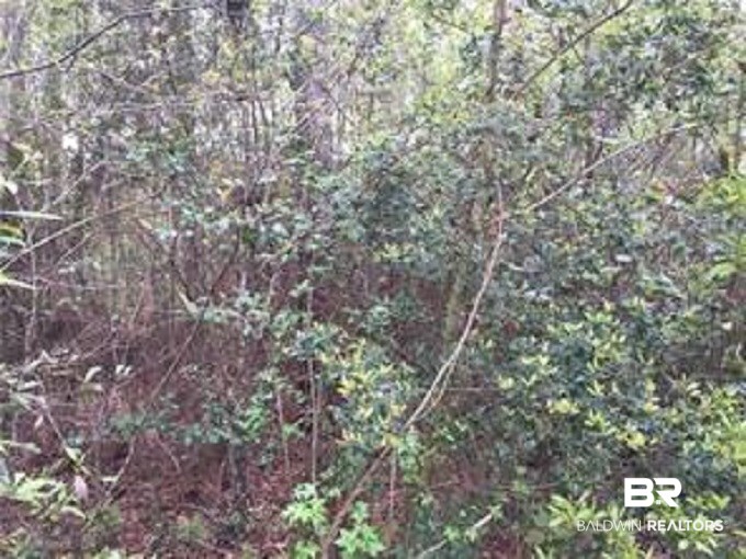 0 5th Street Citronelle, AL 36522 - Photo 1 of 1