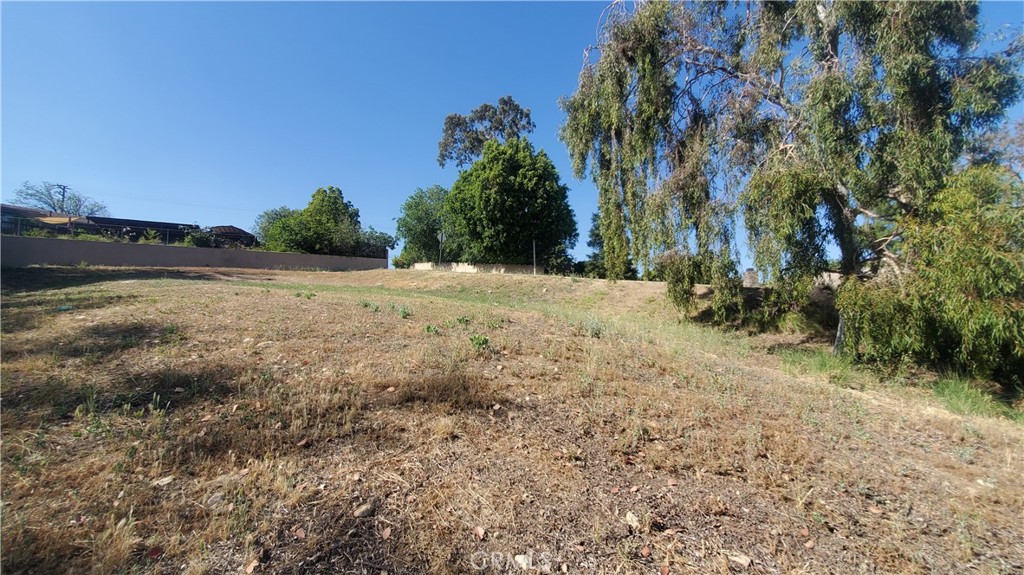 8091 Camino Predera Rancho Cucamonga, CA 91730 - Photo 3 of 8 a view of dirt yard with large trees